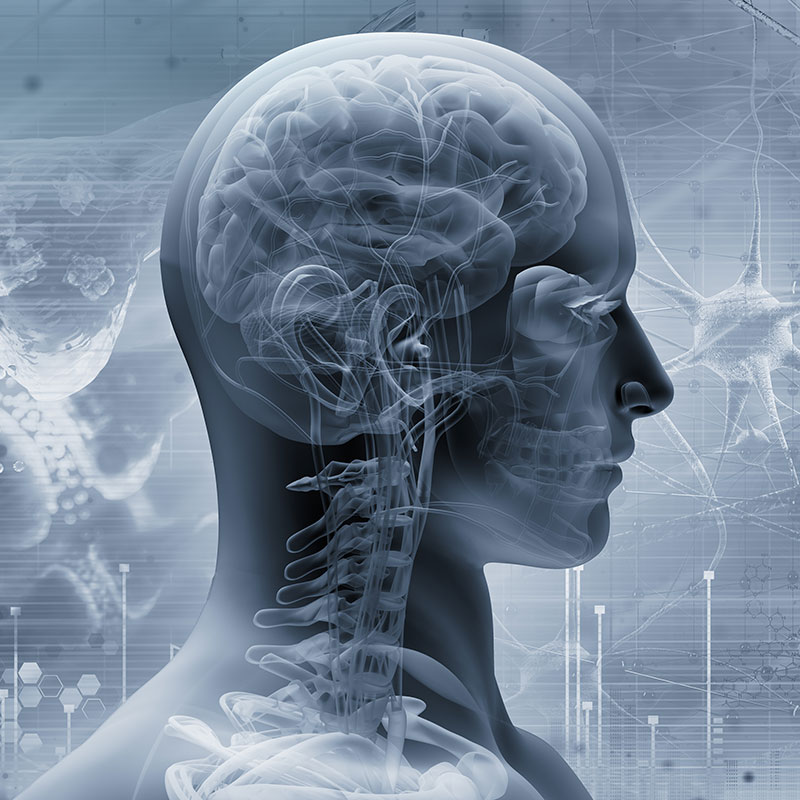 Neurologia